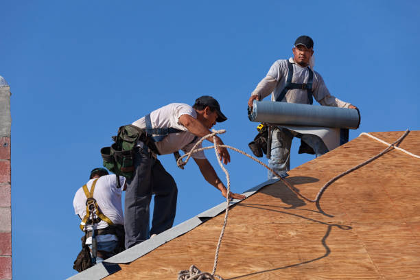Roof Gutter Cleaning in Avimor, ID